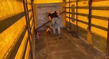 Tırın tabanına binlerce uyuşturucu hap sakladılar