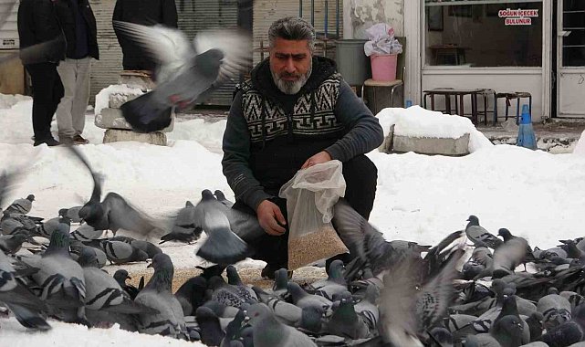 Van'da kar sonrası güvercinlerden görsel şölen