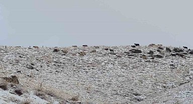 Van'da kış yüzünü gösterdi: Erek Dağı ve çevresi beyaza büründü