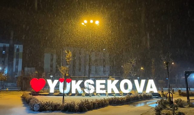 Yüksekova'da lapa lapa kar yağışı