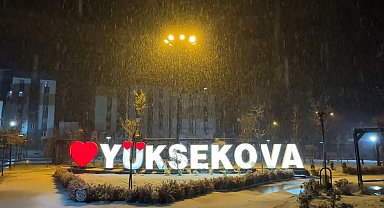 Yüksekova'da lapa lapa kar yağışı