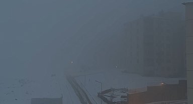 Yüksekova'da yoğun sis hayatı felç etti