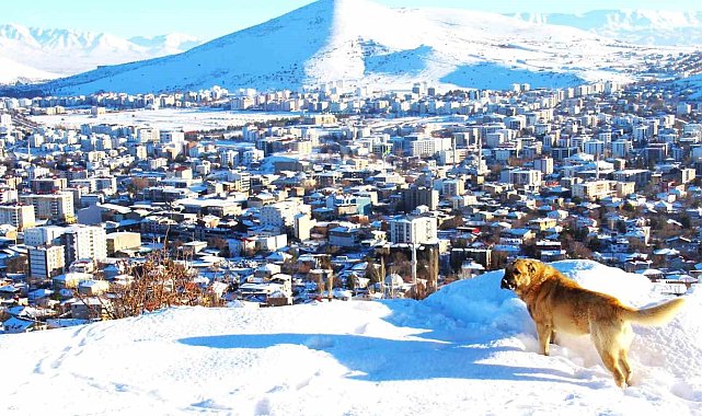 Afşin'de kar sonrası manzara hayran bıraktı
