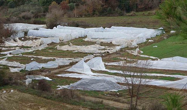 Antalya'daki hortum anı kamerada: Konteynerler savruldu, araç gitmekte zorlandı