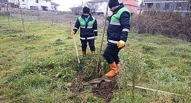 Başiskele'de yeşil alan çalışmaları devam ediyor