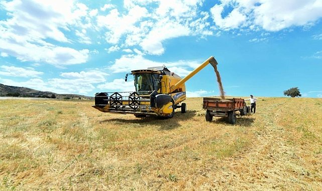 Bayburt'ta üreticiye yüzde 40 devlet katkılı yem desteği verilecek