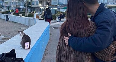 Bursa sahilinde ilginç fotoğraf çözümü: Tripod yerine kedi kullandılar