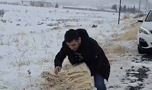 Çermik'te yaban hayvanları için doğaya yem bırakıldı