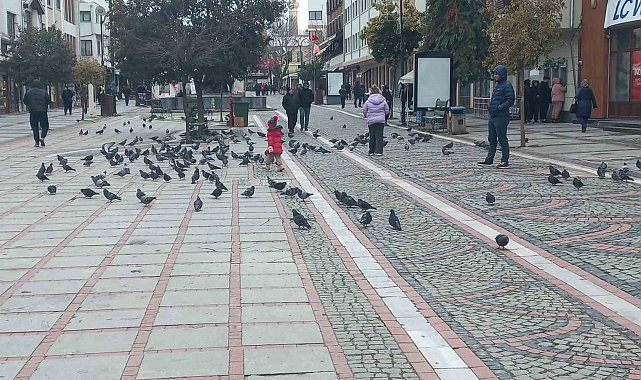 Edirne'de dondurucu soğuk: Edirneliler evde, Bulgarlar mağazalarda