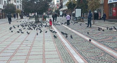 Edirne'de dondurucu soğuk: Edirneliler evde, Bulgarlar mağazalarda