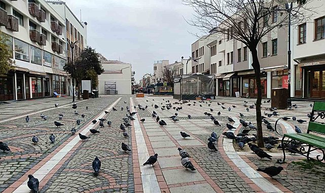 Edirne'de kar gitti, ayaz geldi: Pandemi günlerini aratmayan sessizlik