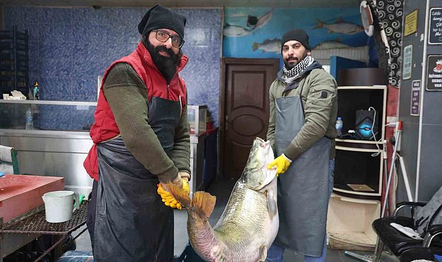 Elazığ'da yakalanan 78 kilogram ağırlığındaki turna balığını iki kişi zor taşıdı