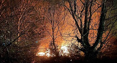 Filyos'ta ağaçlık alanda çıkan yangın korkuttu