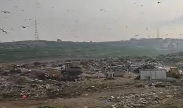 Katı Atık Tesisinde vahşi depolama yapan Bursa Büyükşehir Belediyesi'ne 1.8 milyon TL ceza