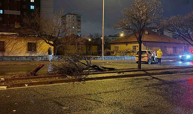 Kaza savrulan otomobil ağacı ikiye böldü: 4 yaralı
