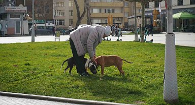 Kış ortasında sonbahar havası