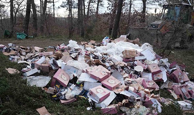 Ormanı çöplüğü çevirmişler