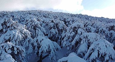 Türkiye'nin ilk Milli Parkı Çamlık'ta kar manzarası havadan görüntülendi