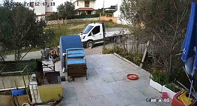 Yerde yatan köpeği ezip yoluna devam etti