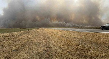 ABD'de orman yangını: 153 bin dönümden fazla alan kül oldu