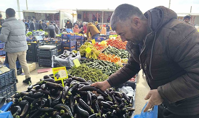 Antalya'daki olumsuz hava şartları patlıcanın tadını kaçırdı