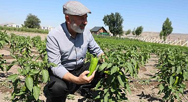 Başkan Çolakbayrakdar: "Toprağımıza bereket, çiftçimize yeni kazanç kapısı açıyoruz"