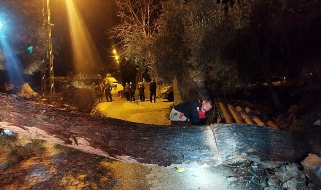 Defne'de devrilen ağaç yolu kapattı