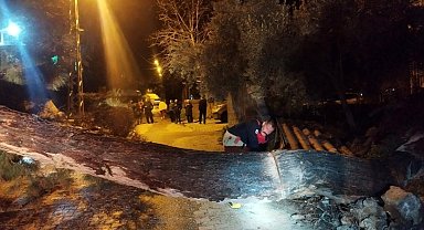 Defne'de devrilen ağaç yolu kapattı