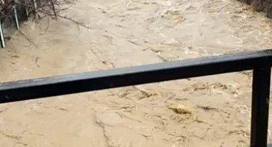 Develi'de aşırı yağış sele neden oldu, bazı ev ve ahırları su bastı