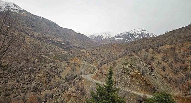 Diyarbakır'da kayıp yaşlı adam 11 gündür aranıyor