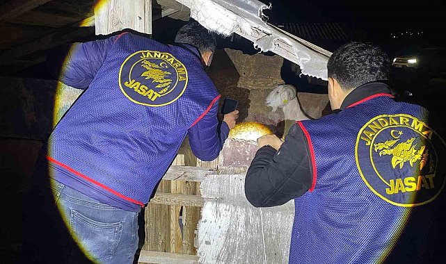 Jandarma kayıp 5 koyun için 3 iş yeri ve 9 meskene ait toplam 24 saatlik güvenlik kamerasını saniye saniye inceledi