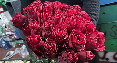 Kırmızı gülü yağış vurdu: Kenya ve Uganda gülleri revaçta