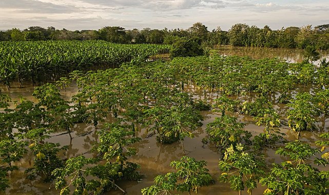 Kolombiya'da ülke genelindeki sellerde 6 kişi hayatını kaybetti