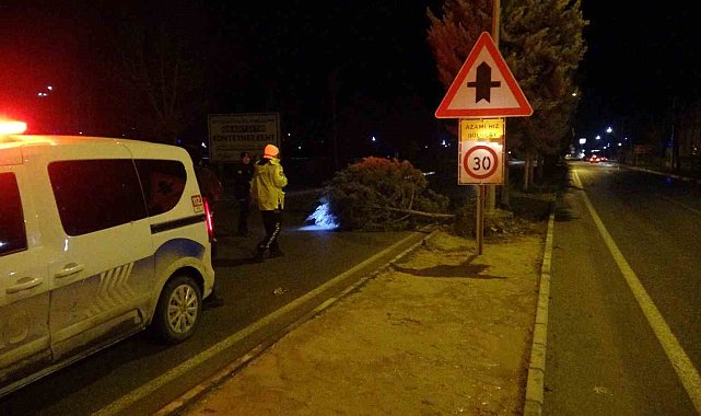 Malatya'da fırtına ağaçları kökünden söktü