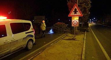 Malatya'da fırtına ağaçları kökünden söktü