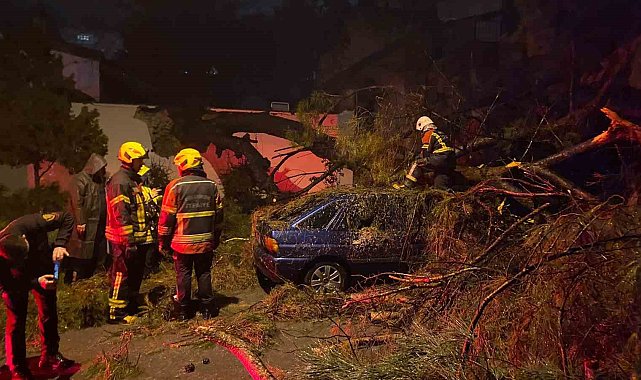 Önce duvarı yıktı sonra otomobilin üzerine devrildi: 2 yaralı
