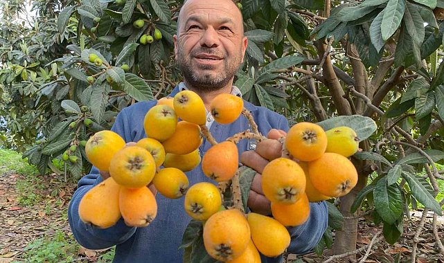 Sarı altın erken geldi: Yenidünya mart ayını beklemedi