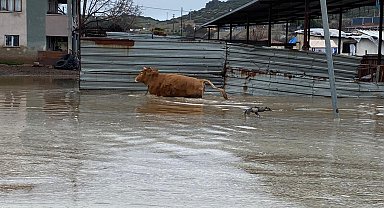 Şiddetli yağışlar Kula'da taşkınlara yol açtı