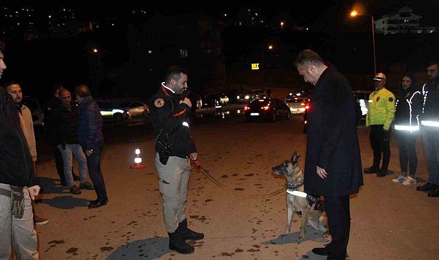 Şırnak'ta 700 polisin katılımı ile "Narko Alan" uygulaması