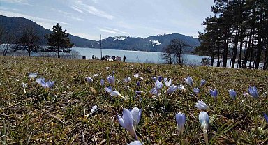 Abant'ta karların ardından bahar manzarası