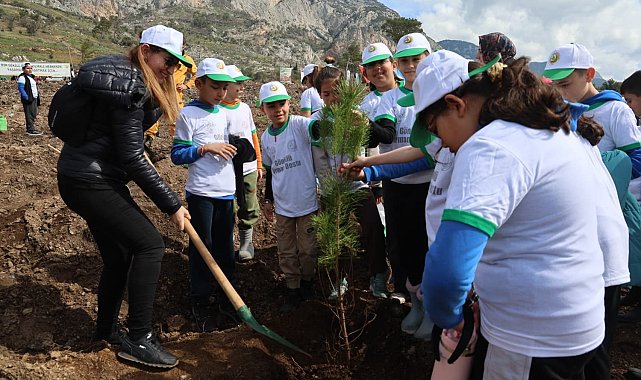 Akyaka'da yanan alan fidanlarla yeşeriyor
