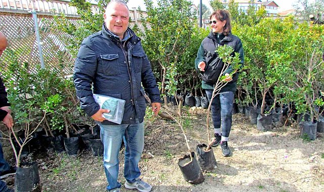 Alaçatı'da "Her Bahçeye Bir Sakız Ağacı" seferberliği