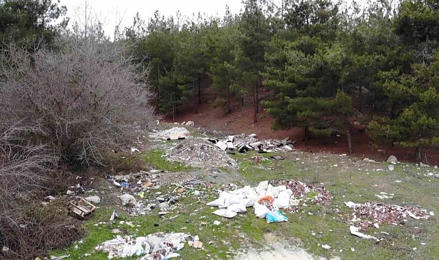 Amasya'da orman çöplüğe dönüştü: "Bu toprakları piyangodan kazanmadık"