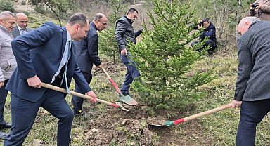 Bartın'da hükümlüler fidan dikti