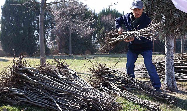 Başkan Altay: "23 bin 500 adet fidanı çiftçimize ulaştıracağız"