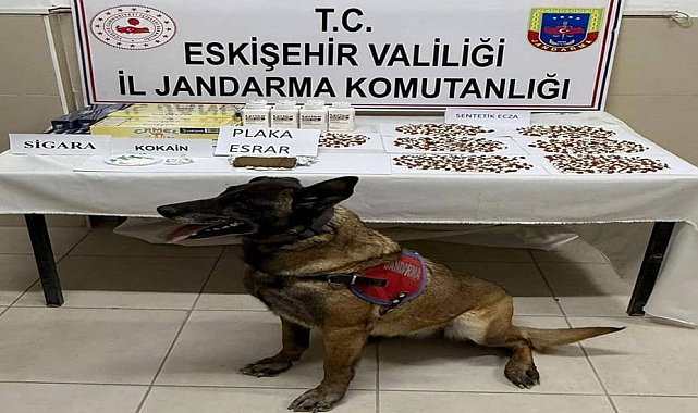 Belçika'dan gelen uyuşturucuyu Afyonkarahisar'a götüren zehir tacirleri Eskişehir'de yakalandı