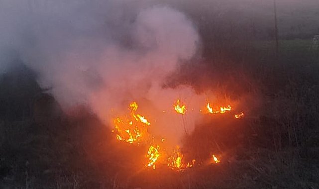 Bolu'da otluk alanda çıkan yangın büyümeden söndürüldü