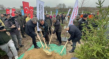 Bursa'da 2 yıl önce yanan 80 hektarlık alan ağaçlandırıldı