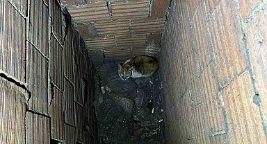 Havalandırma boşluğuna düşen kedi kurtarıldı