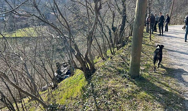 Kastamonu'da "patpat" şarampole yuvarlandı: 2 yaralı